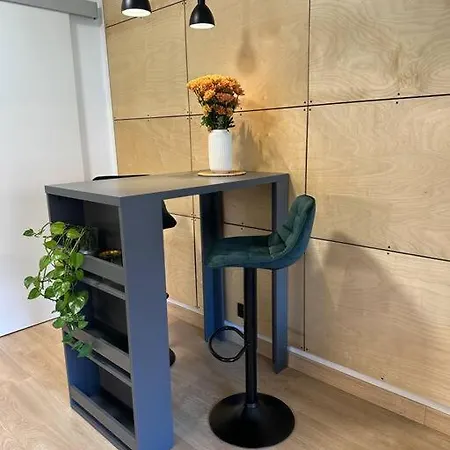 Apartman Blizko Centra, Parkovani A Wifi Zdarma * Pilsen