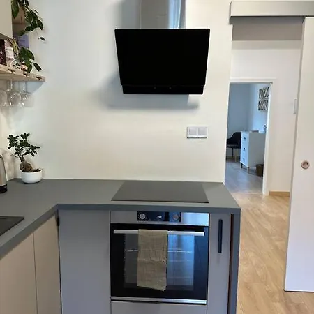 Apartment Apartman Blizko Centra, Parkovani A Wifi Zdarma Plzen